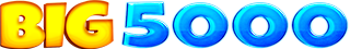 BIG5000
